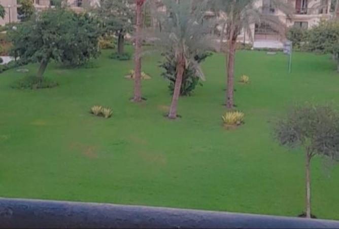 53472865 - Property Main Image