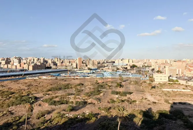 120355026 - صورة العقار 2