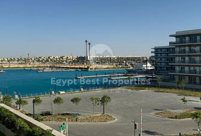 113542660 - صورة العقار 3