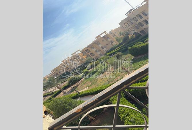 87519528 - Property Image 3