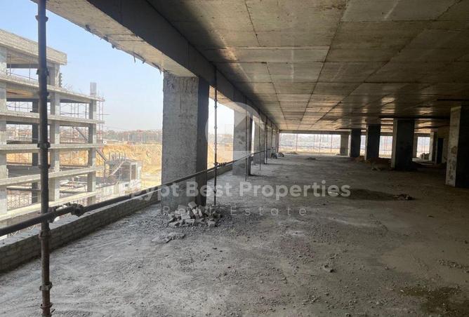 57741516 - Property Image 3