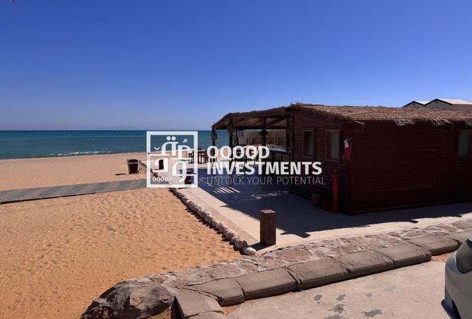 8667281 - Property Image 3