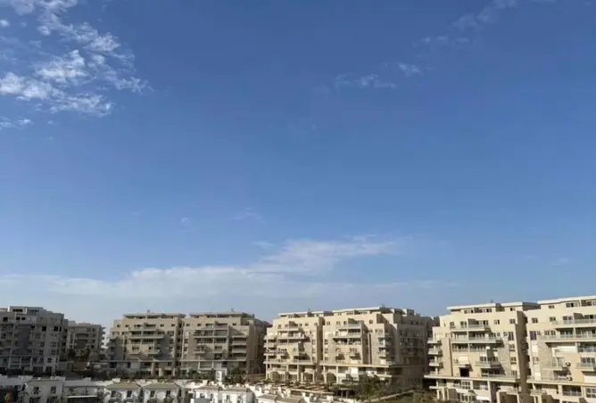 98007819 - Property Image 3