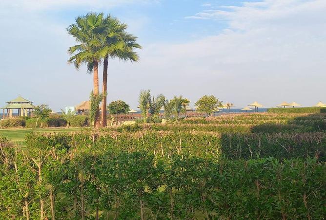 55246397 - الصورة الرئيسية للعقار