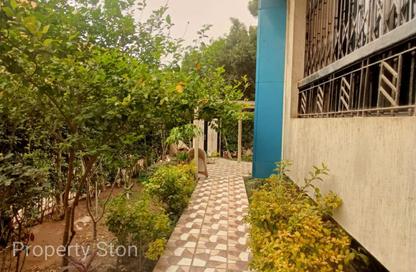 Whole Building - Studio - 7+ Bathrooms for sale in Street 291 - New Maadi - Hay El Maadi - Cairo Whole Building - Studio - 7+ Bathrooms for sale in Street 291 - New Maadi - Hay El Maadi - Cairo