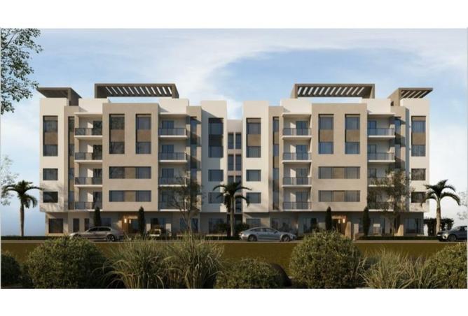 102917982 - Property Image 3