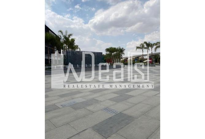 85881751 - Property Image 3