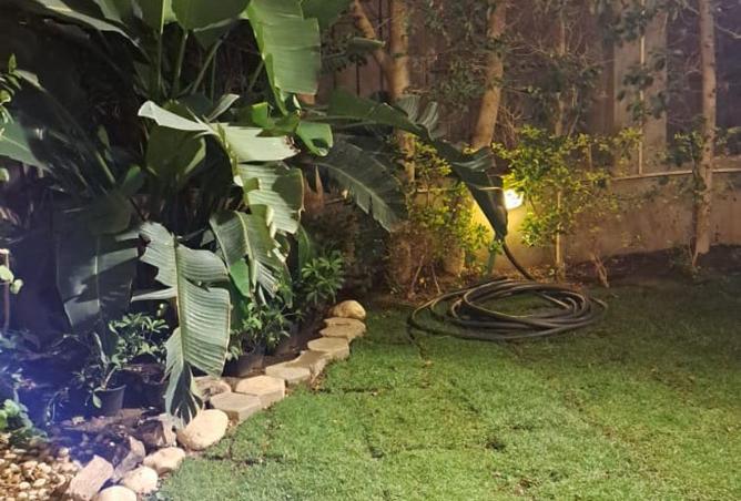 64395348 - صورة العقار 2