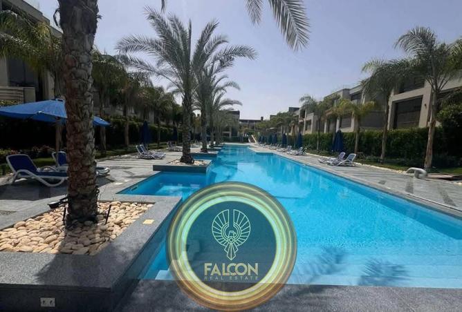 56240453 - Property Image 3