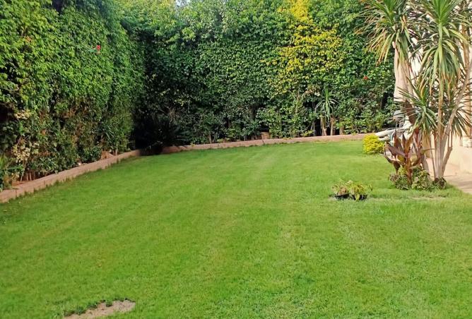 8413076 - صورة العقار 2