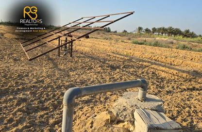 Farm - Studio for sale in Wadi Al Natron - Al Behera