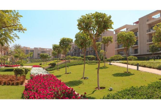 59236552 - Property Image 2