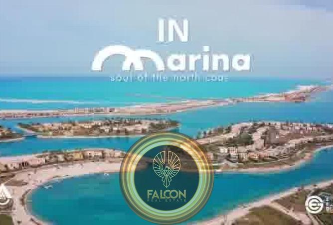 8417493 - Property Image 2