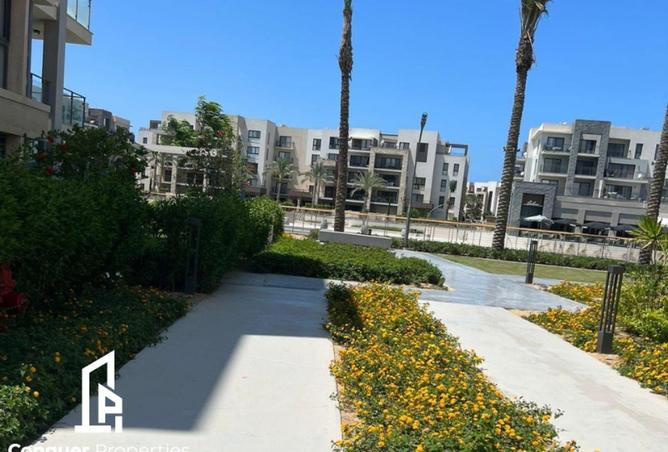 63146198 - صورة العقار 2