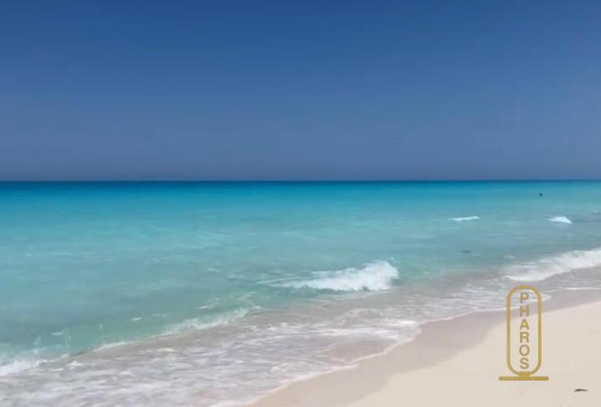 65154605 - صورة العقار 3