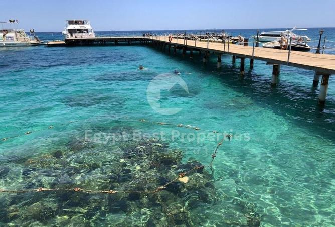 8549335 - Property Image 3