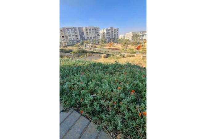 57998210 - Property Image 2