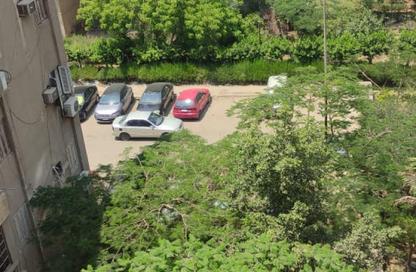 Apartment - 3 Bedrooms - 1 Bathroom for sale in Zahraa Madinet Nasr School St. - 10th District - Nasr City - Cairo