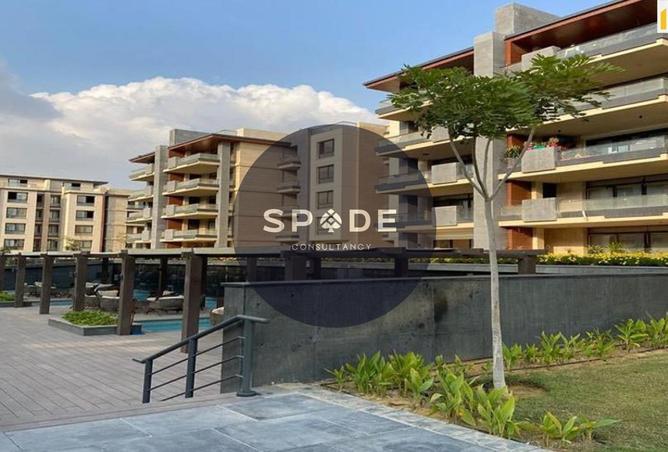 53736124 - صورة العقار 3