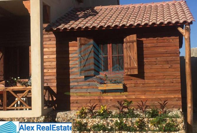 61680028 - Property Image 3