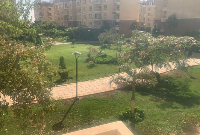 97416376 - Property Image 2