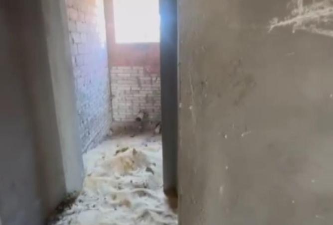 56749857 - Property Image 3