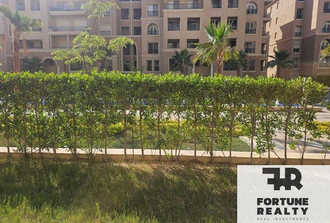 8539119 - Property Image 3