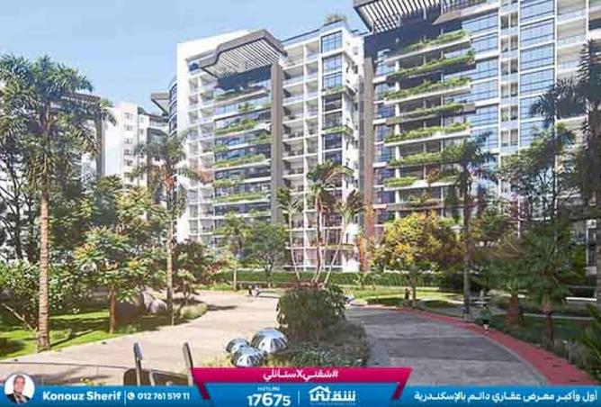 8609213 - صورة العقار 3