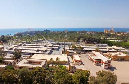 شقة - 3 غرف نوم - 2 حمامات للبيع في طريق الجيش - المندرة - حي ثان المنتزة - الاسكندرية شقة - 3 غرف نوم - 2 حمامات للبيع في طريق الجيش - المندرة - حي ثان المنتزة - الاسكندرية