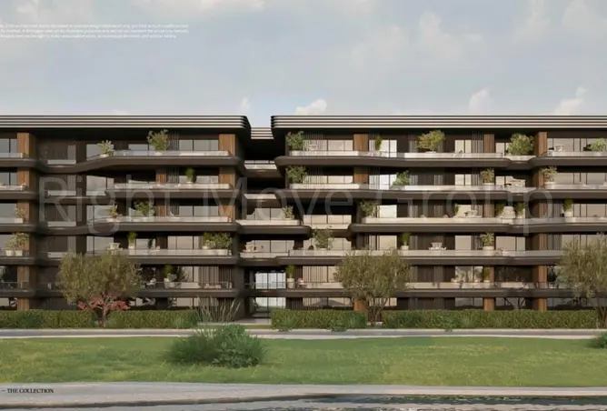 115440596 - Property Image 3