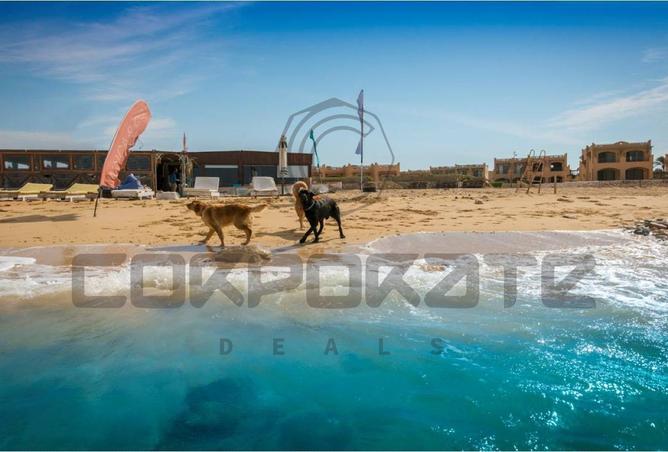 8717380 - Property Image 3