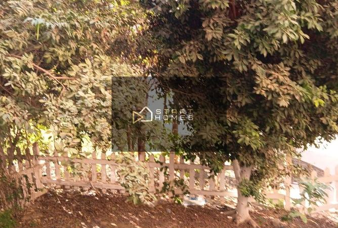 8590777 - الصورة الرئيسية للعقار