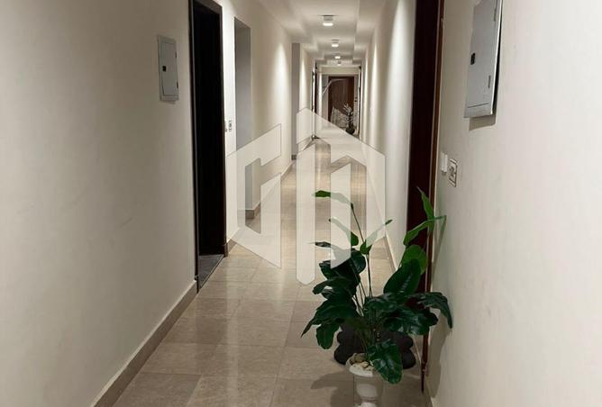 66698272 - Property Image 2