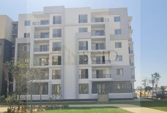 64381053 - Property Image 2