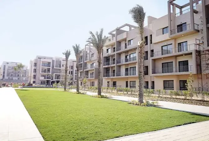 116759514 - Property Image 3