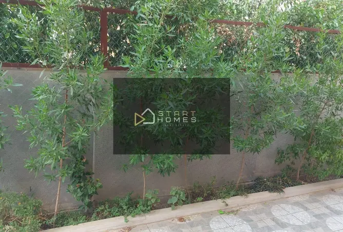 115975151 - صورة العقار 2