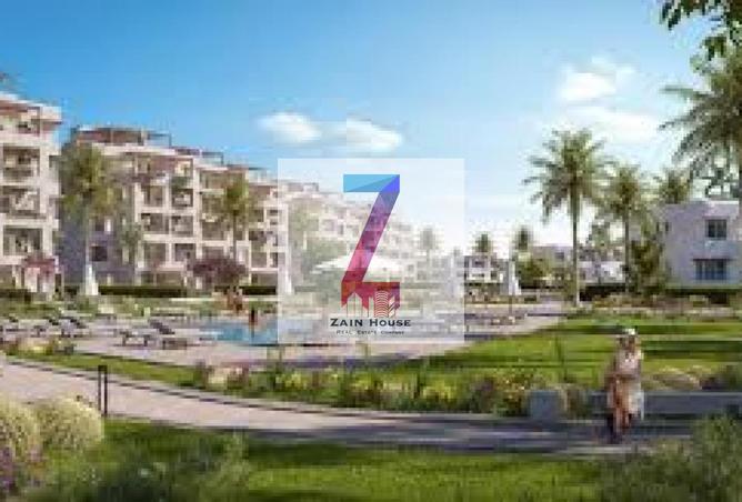 58496275 - Property Image 3