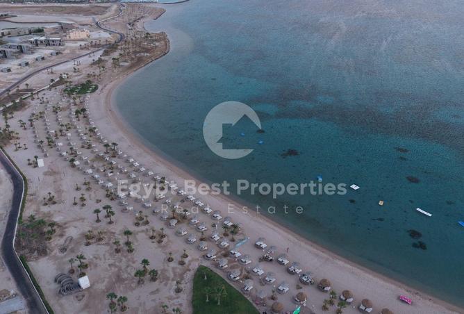 91297843 - Property Image 3