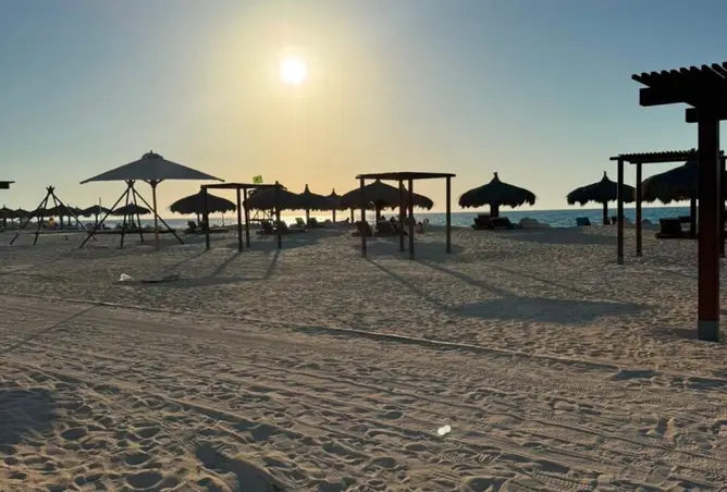 117539382 - صورة العقار 3
