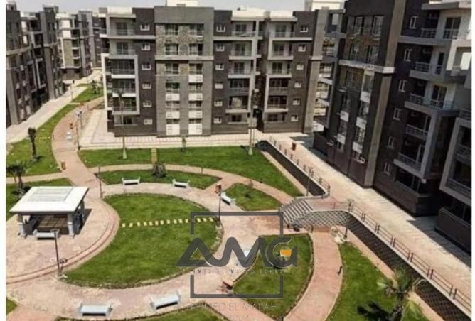 55505826 - صورة العقار 3