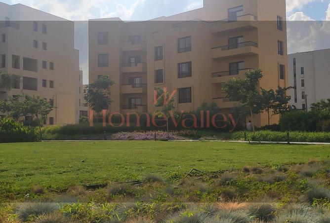 58249543 - صورة العقار 3