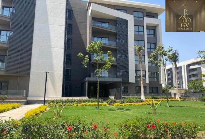 55505943 - صورة العقار 3