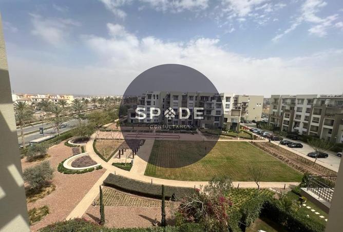 62405509 - Property Main Image