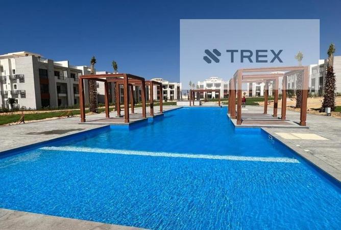 8669845 - Property Image 3