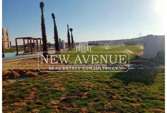 55246913 - صورة العقار 3