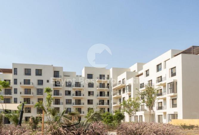 8488367 - Property Image 2