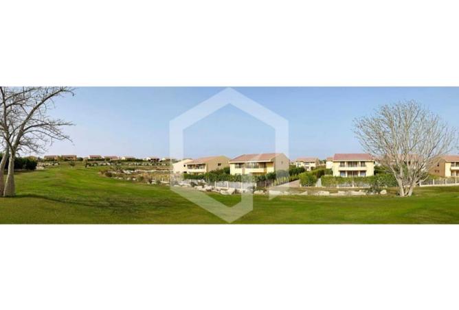 83985837 - صورة العقار 2