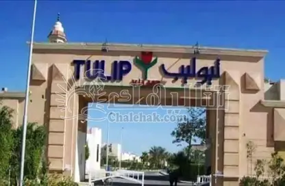 Chalet - 2 Bedrooms - 2 Bathrooms for sale in Tulip Residence - Al Ain Al Sokhna - Suez