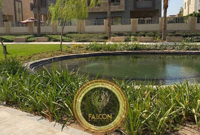 66166574 - Property Image 2