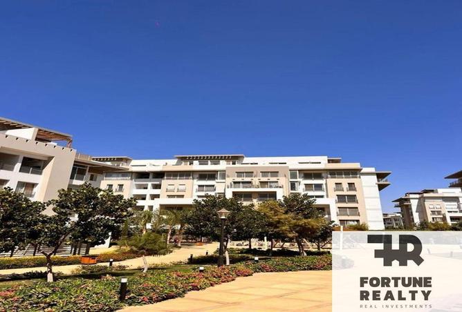 56002395 - Property Image 3